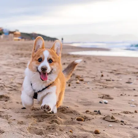 Small Historic Townhouse By Promenade Near Beaches Prázdninový dům *